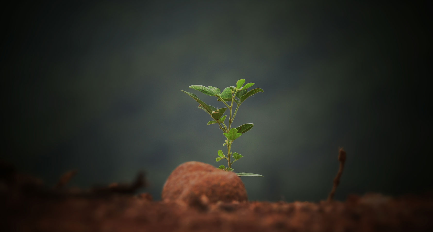 首页| 鸿运国际集团官网接待你登录